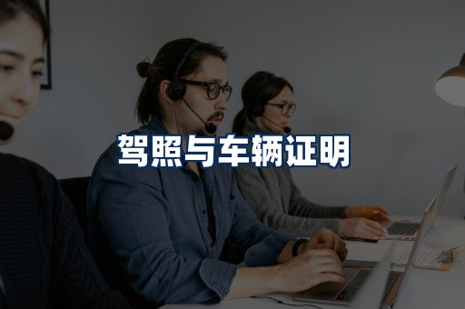 车辆证明展示